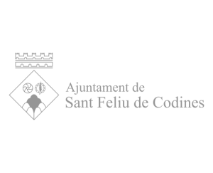 Ajuntament-sant-feliu